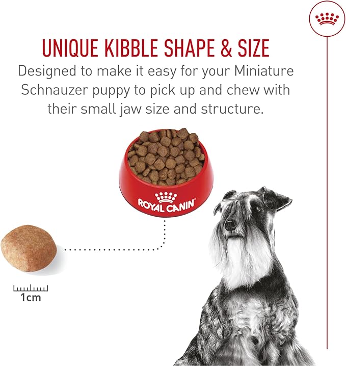 Royal Canin Breed Health Nutrition Miniature Schnauzer Adult Dry Dog Food, 10 lb Bag