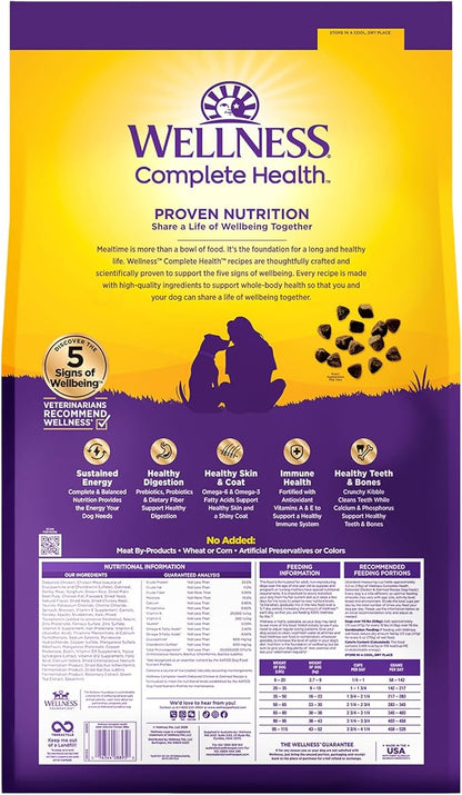 Wellness Complete Health Adult Dry Dog Food, Wholesome Grain Kibble, Natural, Chicken and Oatmeal Recipe, 38 lb Bag