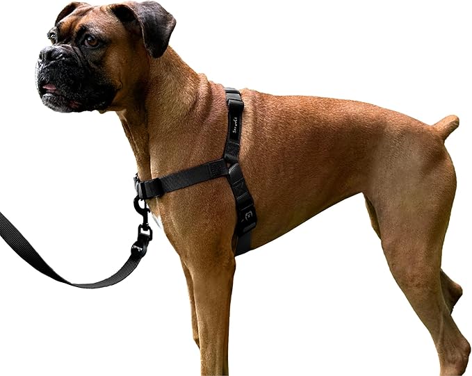 ShawnCo Dream Walk No-Pull Dog Harness- Adjustable, Comfortable, Easy to Use Pet Halter to Help Stop Pulling for Small, Medium and Large Dogs (Midnight, S)