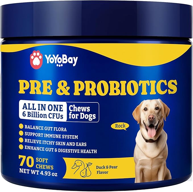 Probiotics for Dogs - Dog Probiotics for Digestive Health, Yeast, Itchy Skin, Gut Health, Immune & Skin - 6 Billion CFUs, 70 Soft Chews, Duck & Pear Flavor - with Prebiotics & Digestive Enzymes