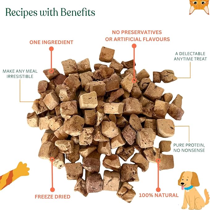 Freeze Dried Two-Pack Treats Bundle Easy-to-Digest Snack / Meal Enhancer Dogs & Cats Crunchy Topper - Bite-Sized Beef Liver Cubes Ideal for Training or Picky Eaters (2 Packs) (2.0 oz each, Beef Liver)
