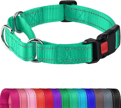 Joytale Martingale Collar for Dogs, Reflective Heavy Duty for Safety, Quick Release Buckle, Adjustable Nylon Collars for Large Dogs Walking Training, Teal,L