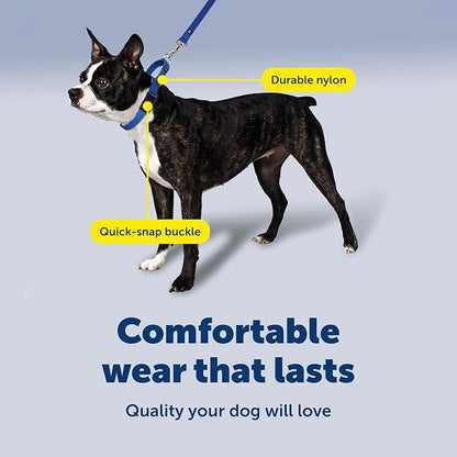 PetSafe Martingale Collar with Quick-Snap Buckle - Adjustable No-Slip Quick Release Dog Collar - Everyday Wear No-Pull Training Aid - 1" Wide - Large - Red
