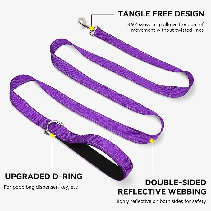 Joytale Dog Leash, 4 FT Double-Sided Reflective, Padded Handle Nylon Heavy Duty Leashes for Small Dogs Walking, Purple