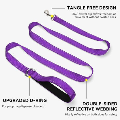 Joytale Dog Leash, 4 FT Double-Sided Reflective, Padded Handle Nylon Heavy Duty Leashes for Small Dogs Walking, Purple