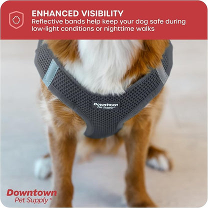 Downtown Pet Supply Step-in Dog Harness – No Pull, Adjustable Padded Mesh with Reflective Trim, Secure Buckle Strap – Comfortable & Breathable Small Dog Harness, Large, Charcoal