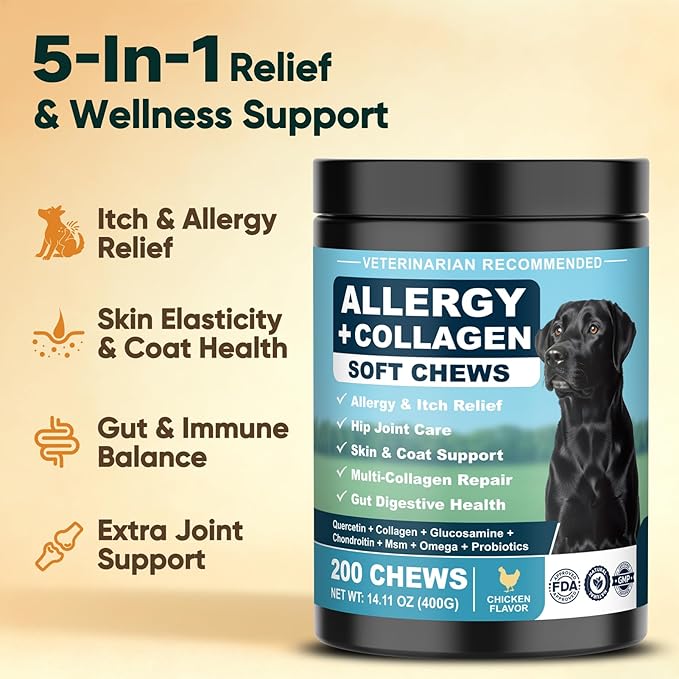 Dog Allergy Chews is Collagen Omega 3 Human Anti Itch Relief for Dogs Multivitamin Itching Skin Relief and Aller Immune Pet Allergy Chews Coat Licking Supplement Pills Meds Treats 200 Bites for Dogs