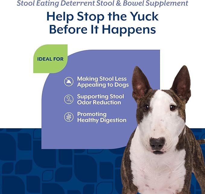 NaturVet – Coprophagia Stool Eating Deterrent – Deters Dogs from Consuming Stool – No Poop Eating for Dogs - Enhanced with Breath Aid Freshener, Enzymes & Probiotics – 130 Soft Chews