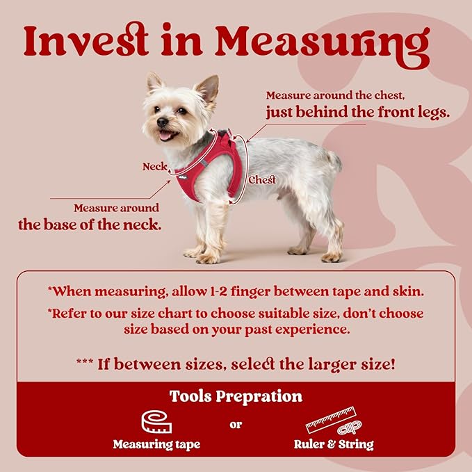rabbitgoo Small Dog Harness, Step-in Soft Mesh Puppy Vest with Safety Buckle, Breathable Reflective Pet Harness for Small Sized Dogs, Red XS