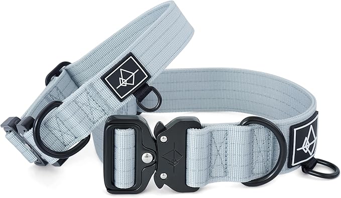 Made to ROAM Premium Dog Collar - Adjustable Heavy Duty Nylon Collar with Quick-Release Metal Buckle (Alaska Daybreak, Classic Size 0)