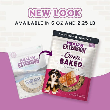 Health Extension Oven-Baked Dog Treats, Salmon Recipe – Gluten & Wheat-Free, Superfood-Infused, Crunchy Biscuits for Puppy Training (2.25 lb)