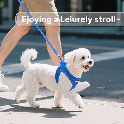 PetiFine Step in Small Dog Harness and Leash Set, Breathable All Weather Air Mesh Reflective Escape Proof, Step-in Vest Harnesses for Puppy(XS, Baby Blue)