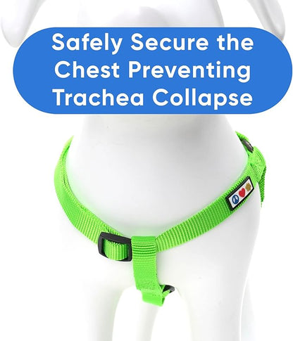 Pawtitas Solid Step-in Dog Harness – Adjustable No-Pull Vest for Puppies to Seniors, Safe & Comfortable S Green