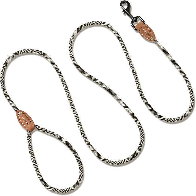 Mile High Life Small Dog Leash, Thin Rope Leash with Genuine Leather Connection and Heavy Duty Metal Clasp, Great for Small Medium Dogs(White,60 Inch-1/3)