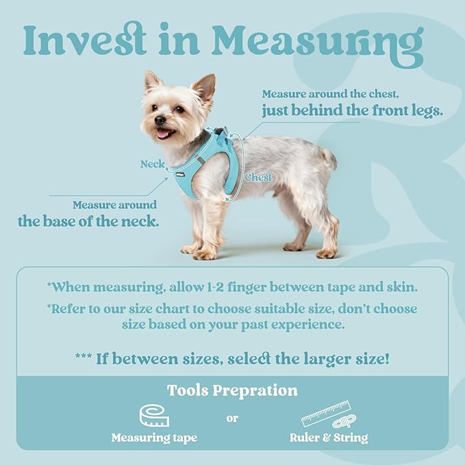 rabbitgoo Small Dog Harness, Step-in Soft Mesh Puppy Vest with Safety Buckle, Breathable Reflective Pet Harness for Large Dogs, Mint Blue XXL