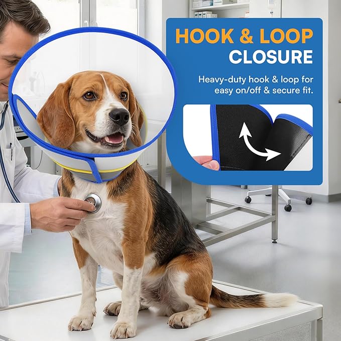 Queenmore Dog Cone - Soft Cone for Dogs to Stop Licking Transparent Elizabeth Recovery Collar for Large Dog Flexible Plastic Cones for Dogs After Surgery, Normal Eating and Drinking, Blue Large