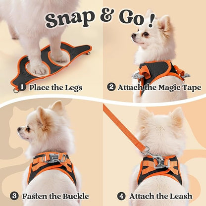 rabbitgoo Dog Harness Small Sized and Leash Set, Step-in Breathable Pet Harness, Soft Walking Reflective Puppy Vest for Small Dogs, Black & Orange, XS
