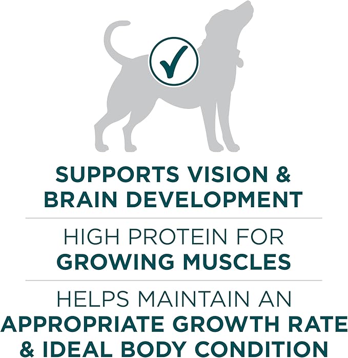 Purina ONE Plus Puppy Dry Dog Food for Large Dogs High Protein Growth Support, Real Chicken - 31.1 lb Bag