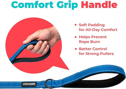 Best Pet Supplies Voyager Reflective Dog Leash or Collar with Neoprene Handle, for Small, Medium, and Large Breed Puppies, Cute and Heavy Duty for Walking, Running and Training - Royal Blue (Leash), M