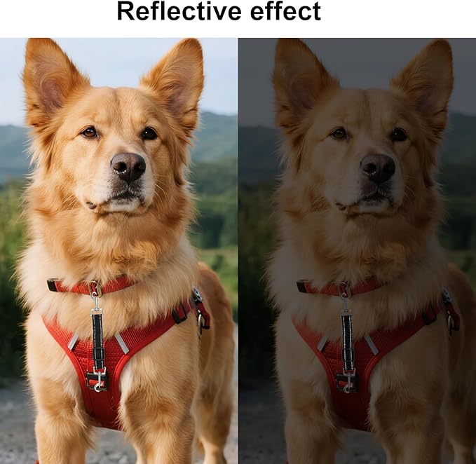 3pcs Dog Prong Collar Safety Clip, Adjustable Reflective Nylon Leash Extender Strap with Metal Dual Clasps 360° Rotatable Dog Harness Connector for Pet Walking Running and Hiking