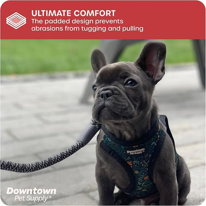 Downtown Pet Supply Step-in Dog Harness – No Pull, Adjustable Padded Mesh with Reflective Trim, Secure Buckle Strap – Comfortable & Breathable Small Dog Harness, Small, Dinosaur
