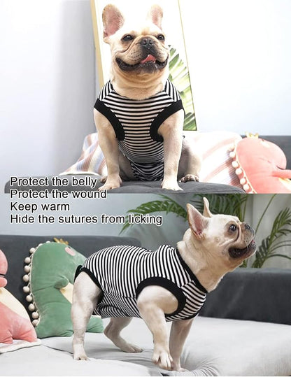 Dogs Cats Recovery Suit XX-Large for After Surgery, Professional Pet Recovery Shirt Dog Abdominal Wounds Bandages, Substitute E-Collar & Cone,Prevent Licking Dog Onesies,Black-White XXL