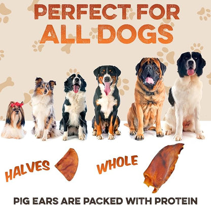 BRUTUS & BARNABY Pig Ear Halves for Dogs, 40 Ct. – All-Natural Single Ingredient Dog Chews, Slow Cooked & Fully Digestible Rawhide Alternative