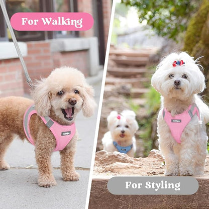 rabbitgoo Small Dog Harness, Step-in Soft Mesh Puppy Vest with Safety Buckle, Breathable Reflective Pet Harness for Small Medium Dogs, Pink & Gray L