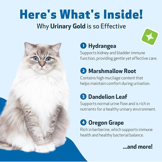 Pet Wellbeing Urinary Gold for Cats - Vet-Formulated Multi-Herb Urinary Tract Support - Feline Bladder Health & Urinary System Wellness - Holistic Cat Supplement - 2 oz (59ml) (4 fl oz (118 ml))