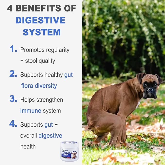 MARIMER Probiotic Chews for Dogs – 6 Billion CFU Probiotics with Enzymes, Organic Pumpkin & Inulin – Digestive & Immune Support Soft Chews – Chicken Flavor – 100 Count – for Dogs