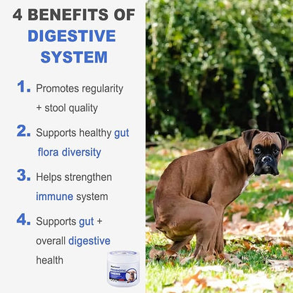 MARIMER Probiotic Chews for Dogs – 6 Billion CFU Probiotics with Enzymes, Organic Pumpkin & Inulin – Digestive & Immune Support Soft Chews – Chicken Flavor – 100 Count – for Dogs
