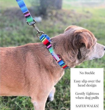 Lucky Love Dog Martingale Dog Collar - Adjustable, No-Slip, Durable, & Soft Webbing Collar for Male and Female Dogs Ideal for Training & Walking - Nacho, Medium