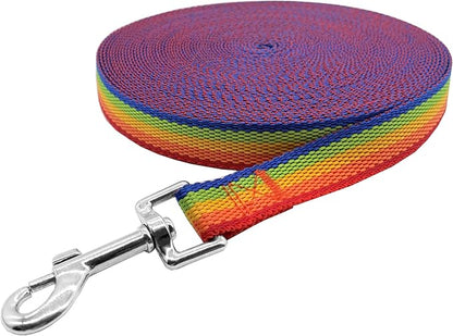 Nylon Training Dog Leash for Small Medium Large Dogs, 15ft 20ft 30ft 50ft Long Leash Dog/Puppy Lead for Obedience Recall Training, Camping (1" x 20ft, Rainbow)