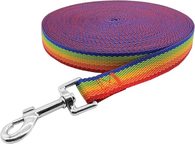 Nylon Training Dog Leash for Small Medium Large Dogs, 15ft 20ft 30ft 50ft Long Leash Dog/Puppy Lead for Obedience Recall Training, Camping (50ft, Rainbow)