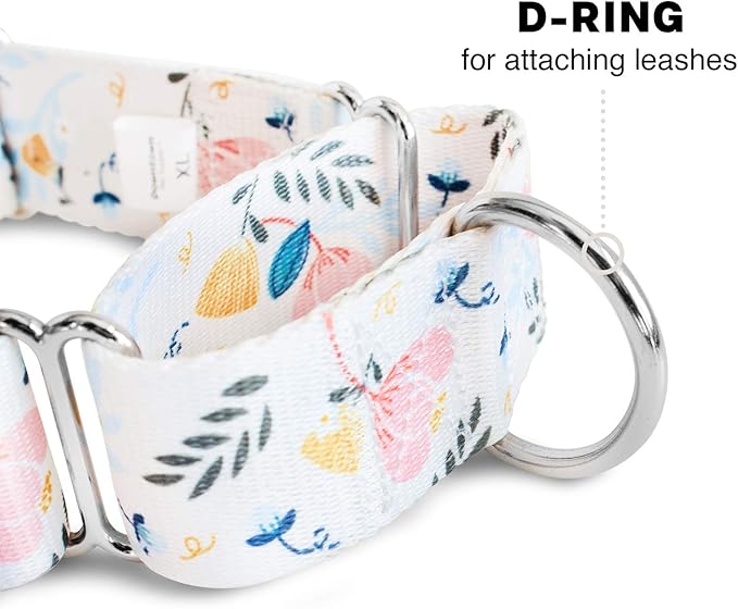 Downtown Pet Supply - Martingale Collar for Dogs - Dog Training Collar - Big, Wide & Thick Dog Collar - Escape-Proof, Weatherproof, Durable and Comfortable - Floral - Small Dog Collar