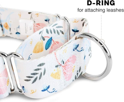 Downtown Pet Supply - Martingale Collar for Dogs - Dog Training Collar - Big, Wide & Thick Dog Collar - Escape-Proof, Weatherproof, Durable and Comfortable - Floral - Small Dog Collar