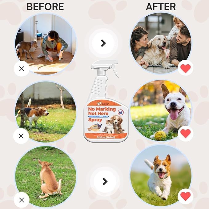 Qucship 32oz Control Indoor Marking with This Easy-to-Use Spray - Eliminate Dog Marking Indoors with This Effective Spray