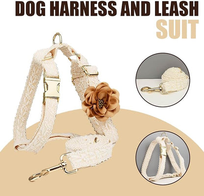 Dog Harness Leash Set Cute Soft No Pull Dog Harness with Comfortable Padded Handle for Dogs Easy Walking,L
