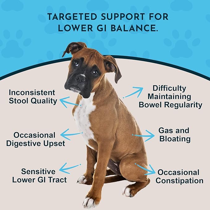 Animal Essentials Colon Rescue for Dogs & Cats - Herbal Laxative, Constipation Relief, Stool Softener with Slippery Elm, Marshmallow Root, Licorice Root - 2 Fl Oz