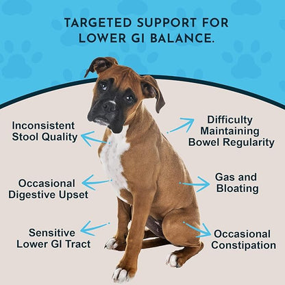 Animal Essentials Colon Rescue for Dogs & Cats - Herbal Laxative, Constipation Relief, Stool Softener with Slippery Elm, Marshmallow Root, Licorice Root - 2 Fl Oz