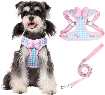 Coppthinktu Dog Harness for Small Sized Dogs, Puppy Cat Harness with Leash Set No Pull Dog Harness Adjustable Reflective Step-in Pet Vest Harnesses with Cute Bow Soft Padded Outdoor Walking