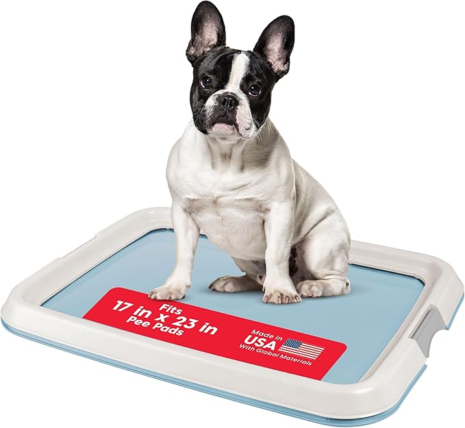 IRIS USA Pee Pad Holder for Dogs and Puppies, Potty Training Tray with Secured Latches, Non-Skid Feet, Leak Protection, Easy Clean Surface, Fits 17"x 23" Puppy Pads Size, Blue