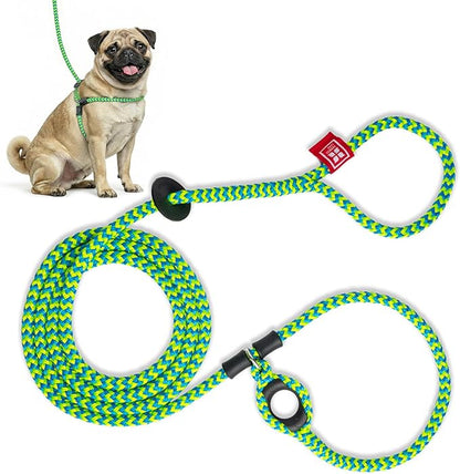 Harness Lead No Pull Dog Harness and Leash Set, Anti Pull Dog Harness, One-Piece Cushioned Rope Safely Prevents Escaping and Pulling (Small/Medium, Peacock/Blue/Lime)