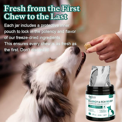 NATURE TARGET Dog Allergy Chews - Dog Allergy Relief for Itchy Skin, Hot Spots & Paw Licking - with Probiotics, Colostrum & Omega 3 - Immune Support Dog Treats, 180 Freeze Dried Chews