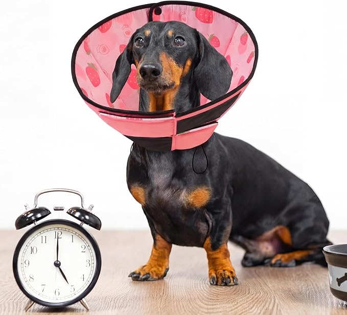 Queenmore Dog Cones for Medium Dogs, Dog Cone Collar After Surgery, Soft Cone for Dogs Wound Care, Spay, Neuter, Breathable Pet Surgery Collars & Cones, Strawberry M