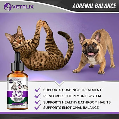 Adrenal Support for Dogs, Cats, Puppies and Kittens - Made in USA - Cushing's and Kidney Support Supplement - Natural Endocrine Health Formula - 2 Fl Oz