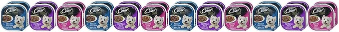 Cesar Filets in Gravy Adult Wet Dog Food Variety Package,Filet Mignon,New York Strip and Prime Rib Flavors,3.5 oz. Easy Peel Trays,Variety Pack,24 Count (Pack of 2)