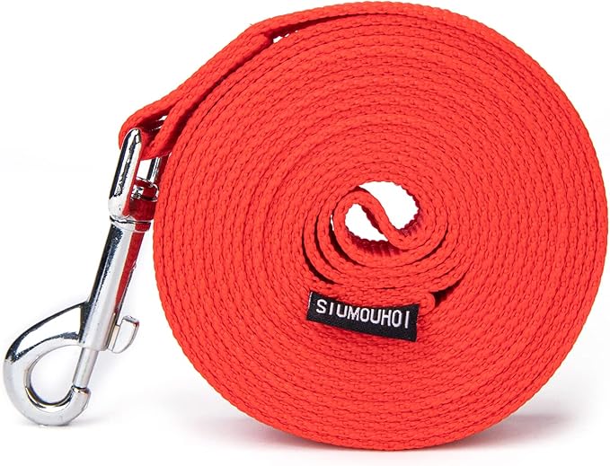 Strong Durable Nylon Dog Training Leash, 1 Inch Wide Traction Rope, 6 ft 10ft 15ft Long, for Small and Medium Dog (Red, 10 Feet)