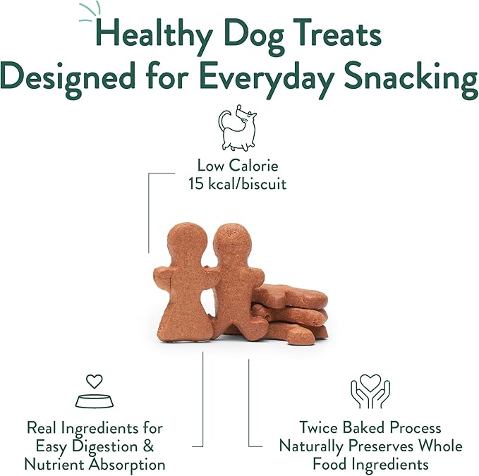 Portland Pet Food Company Gingerbread Dog Treats Healthy Biscuits for Small Medium & Large Dogs - Grain-Free, Human-Grade All Natural Cookies, Snacks & Puppy Training Treats - Made in the USA - 5 oz