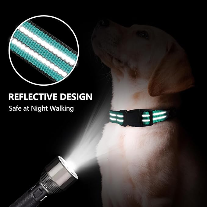 Hikiko Martingale Dog Collars Reflective Nylon Dog Collar with Quick Release Buckle Adjustable Training No Slip Dog Collar (Small, Turquoise)